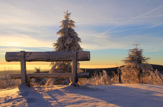 Snow-covered bench atop a hill with frosty trees at sunset. Perfect for illustrating serene winter landscapes, showcasing natural beauty during sunrise or sunset, emphasizing tranquility and peaceful outdoor scenes in cold weather. Useful for travel, holiday, and nature-themed websites or seasonal print materials.