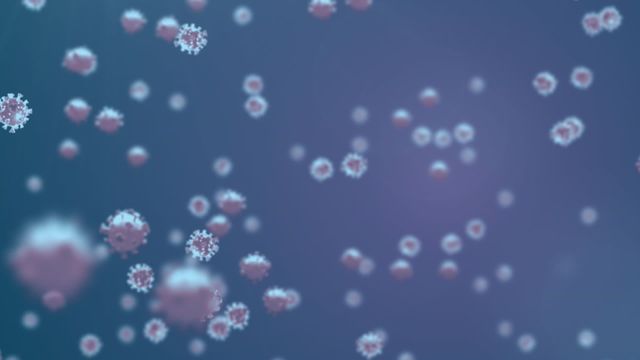 Concept of virus cells floating against a navy backdrop. Suitable for use in scientific presentations, medical education content regarding pandemics, COVID-19 information, viruses, and infection-related projects.