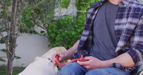 Disabled Man in Wheelchair Enjoying Time with Dog