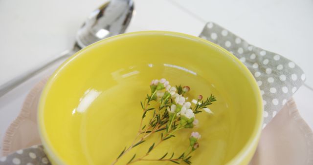 Yellow Ceramic Bowl with Plant Branch on Napkin - Download Free Stock Images Pikwizard.com