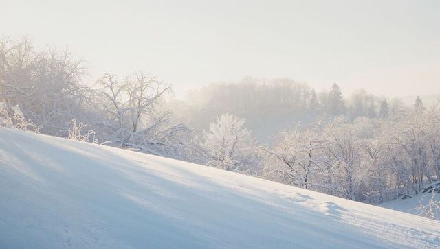 Sunlit frosty hillside with snow-covered slope and misty trees, serene winter landscape