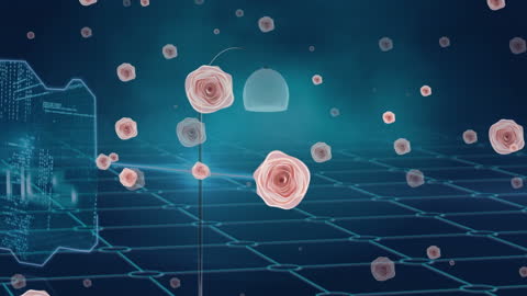 Floating Roses and Digital Data on Futuristic Grid