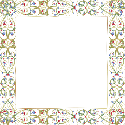 elegant transparent nouveau border design with filigree accents - Download Free Stock Videos Pikwizard.com