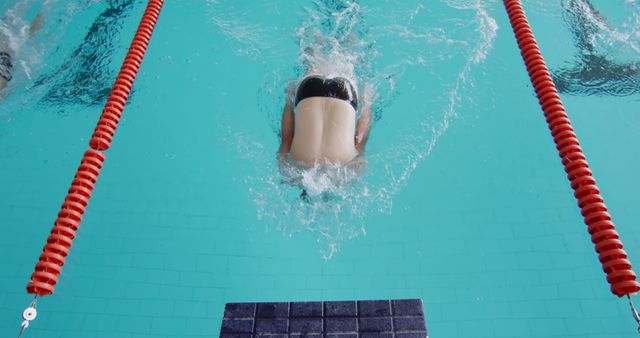 Competitive Swimmer Diving into Pool during Race - Download Free Stock Images Pikwizard.com
