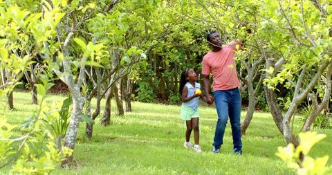 Father and Daughter Picking Lemons in Sunny Orchard