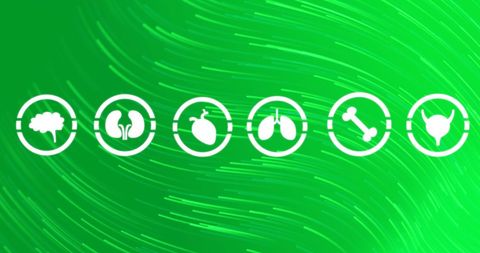 Digital Anatomy Icons on Vibrant Green Background
