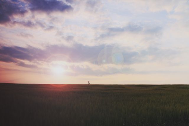 Stunning Sunset over Vast Wheat Field with Vibrant Sky - Download Free Stock Photos Pikwizard.com