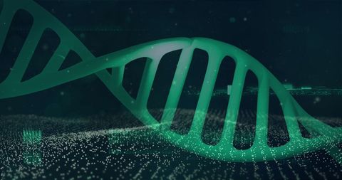 Rotating DNA Strand in Digital Matrix Environment - Download Free Stock Images Pikwizard.com