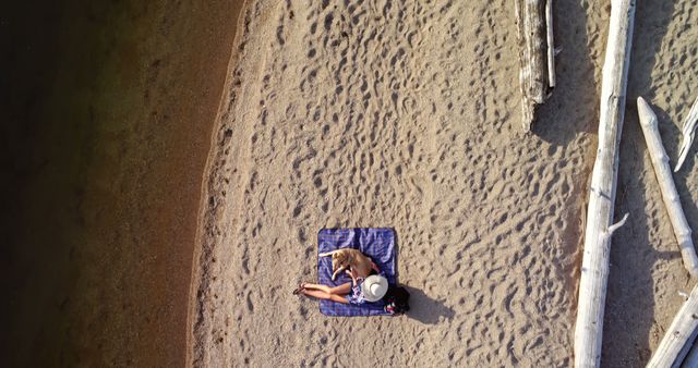 Aerial View of Woman Relaxing with Dog on Sandy Beach - Download Free Stock Images Pikwizard.com