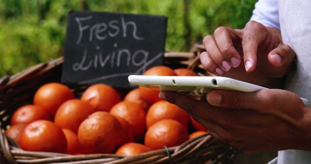 Person Using Tablet Near Fresh Tomatoes Basket in Nature - Download Free Stock Images Pikwizard.com