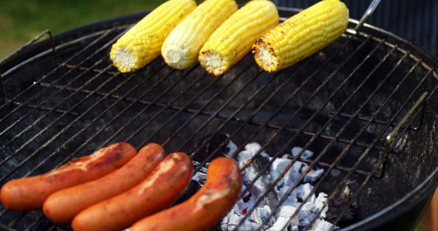 Yellow corn and sausages grilling on a charcoal barbecue grill. Ideal for summer cookout, BBQ, picnic, outdoor cooking or food-related advertising.