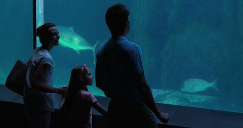 Family Enjoying Educational Aquarium Visit with Marine Life - Download Free Stock Images Pikwizard.com