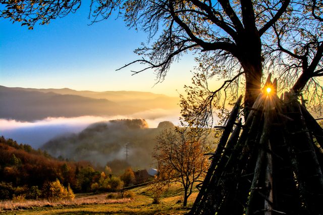 Sunrise Over Misty Mountain Landscape with Autumn Colors - Download Free Stock Photos Pikwizard.com