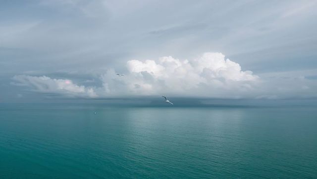 Seagull gliding over turquoise ocean under dramatic cumulus cloud horizon, serene seascape