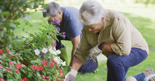 Image of happy biracial senior couple taking care of plants in garden - Download Free Stock Photos Pikwizard.com