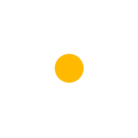 minimalist daisy flower illustration on transparent background - Download Free Stock Videos Pikwizard.com