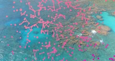 Aerial coral reef turquoise seascape overlaid with magenta network nodes and data points