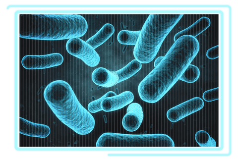 Transparent Bacteria Cells in Blue 3D Illustration - Download Free Stock Videos Pikwizard.com