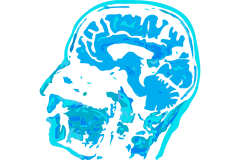transparent brain illustration showcasing medical anatomy - Download Free Stock Videos Pikwizard.com