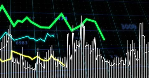 Dynamic Financial Data Visualizations with Graphs and Charts