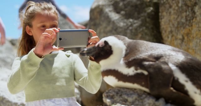 Child photographing penguin with smartphone during outdoor wildlife experience. Ideal for use in websites, blogs, social networks featuring topics about wildlife education, family outdoor activities, children documenting nature, animal encounters, fun learning experiences.
