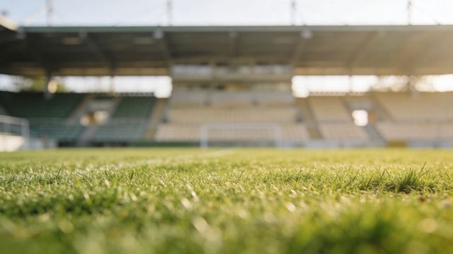 Sunlit stadium turf glinting closeup with blurred goalpost and empty stands