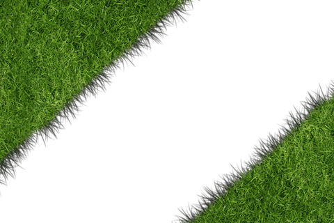 Grass Field with Copy Space on Transparent Background - Download Free Stock Videos Pikwizard.com