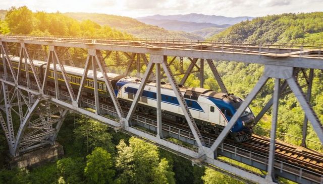 Blue-white passenger train crossing steel viaduct over sunlit forest valley during golden hour