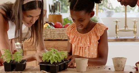 Family Bonding through Planting in Sunlit Kitchen