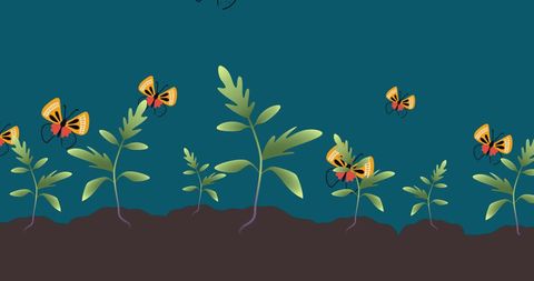 Butterflies Flying Among Sprouting Plants on Green Background