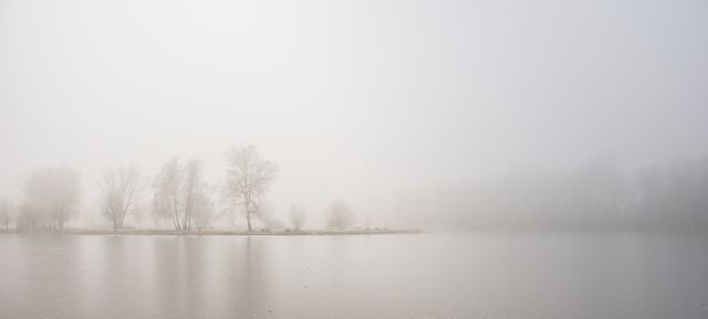 Tranquil foggy landscape featuring a calm lake with bare trees reflecting on water. Ideal for use in nature-themed projects, relaxation visuals, meditation backgrounds, and seasonal greeting cards emphasizing serene environments.