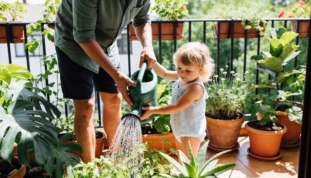 Parent and toddler watering balcony garden together, urban family gardening moment