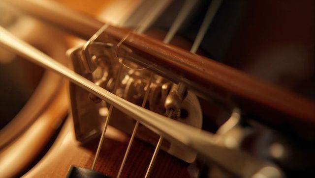 Details of a violin bridge with bow and strings