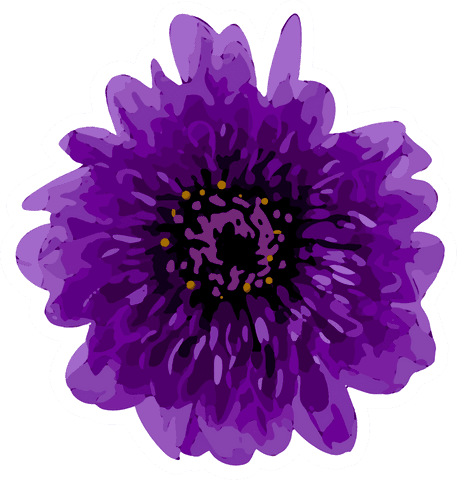 Vibrant purple flower on transparent background for decorative use