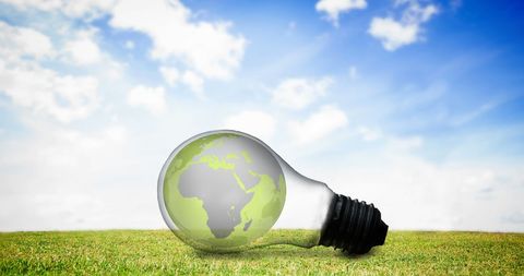 Lightbulb with green earth on grass under blue sky