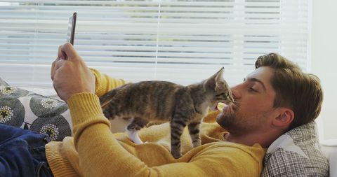 Young man relaxing on couch with playful kitten