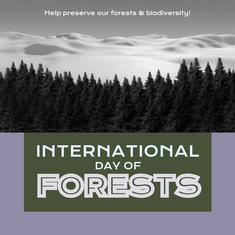 International Day of Forests Promotion Over Scenic Landscape - Download Free Stock Templates Pikwizard.com