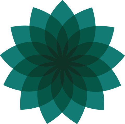 abstract geometric flower petals on transparent background - Download Free Stock Videos Pikwizard.com