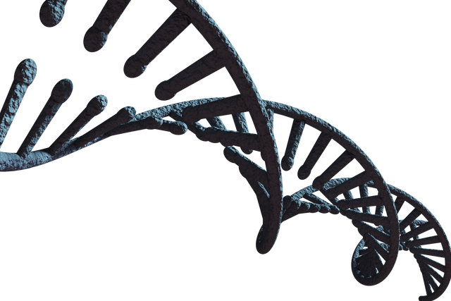 Transparent Macro View of Dark Blue DNA Strand Concept - Download Free Stock Videos Pikwizard.com