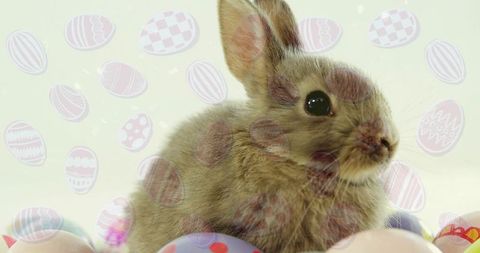 Fluffy brown baby rabbit sitting among pastel easter eggs with whimsical overlay patterns