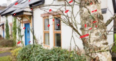 Rustic white cottage with blue door and natural surroundings