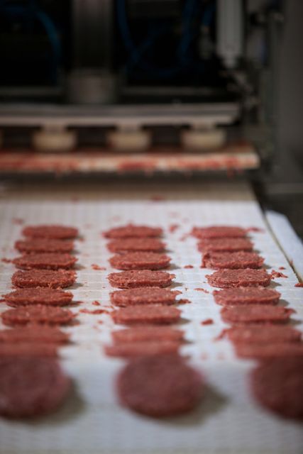 Close-up of raw meat patties on assembly line at meat factory