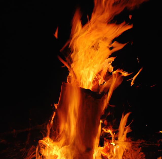 A close-up view of vivid flames rising from a log in a dark setting. Perfect for use in materials related to camping, adventures, nighttime activities, warmth, and survival techniques.