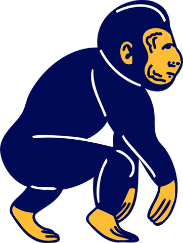 Crouching primate illustration on transparent background
