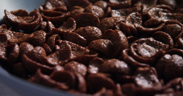 Close-Up of Chocolate Cereal in Bowl - Download Free Stock Images Pikwizard.com