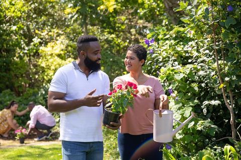 Diverse Friends Enjoying Gardening Together in Backyard