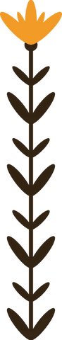 Transparent minimalistic floral design with brown stem