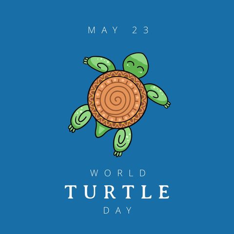 world turtle day illustration with turtle against blue background - Download Free Stock Templates Pikwizard.com