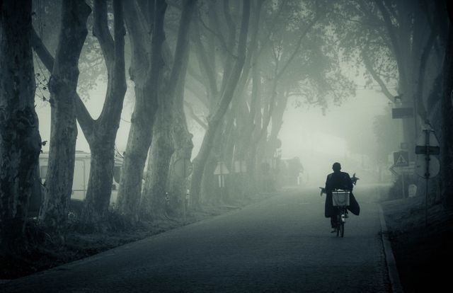Silhouette of a man riding bicycle down foggy forest path at dawn. Tall trees line path creating an eerie yet serene atmosphere. Ideal for themes of solitude, journey, adventure, tranquility, and vintage feel. Suitable for nature and travel blogs, background use, or inspirational photography collections.