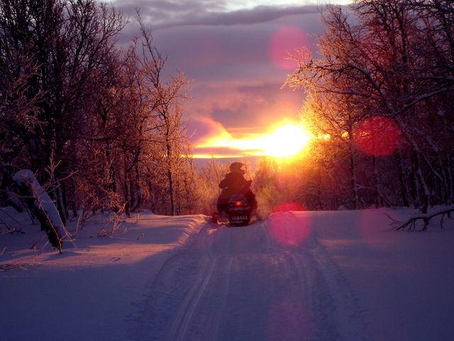 Person riding snowmobile through snow-covered forest during winter sunset. Ideal for outdoor adventure, winter sports promotions, travel blogs, and nature-inspired content.